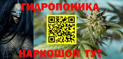 apvp Севастополь