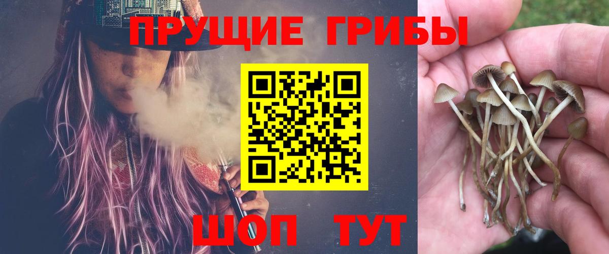 Псилоцибиновые грибы MAGIC MUSHROOMS Полевской